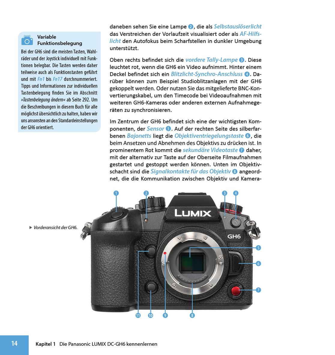 Lumix DC-GH6 Fotoschule – Bild 2